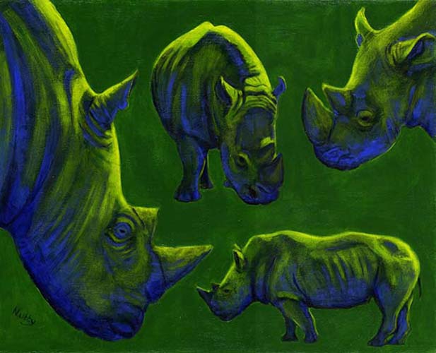 rhinos