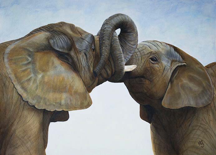 elephants