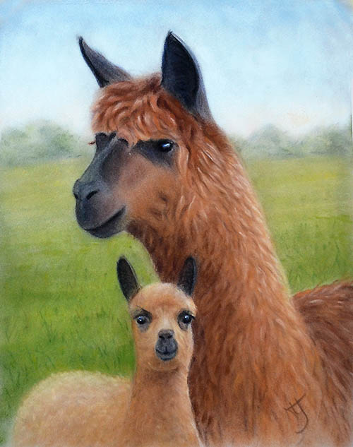 Al Paca Family