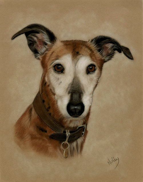 lurcher