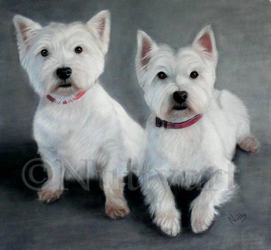 West Highland White dogs