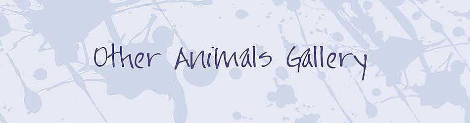 Other Animals Gallery