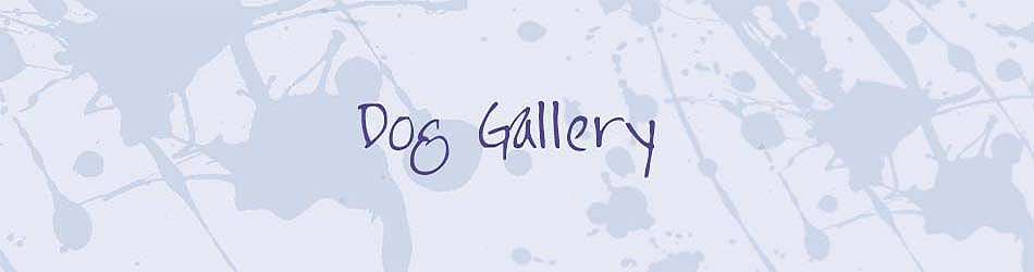 Dog Gallery