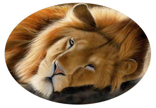 pastel lion